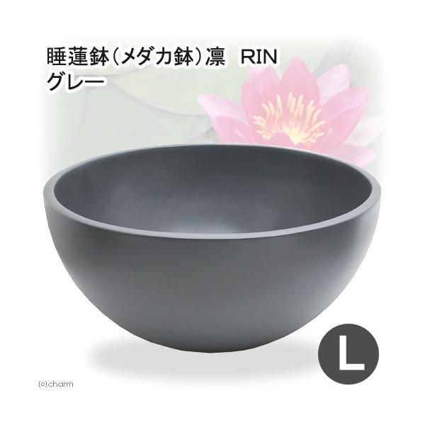 @@[J[@@i_Jjz@qhm@ی^@_[NO[@k@s