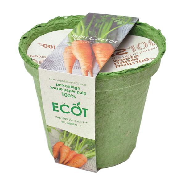 V|@dbns@ɂ񂶂͔|Zbg@l@͔|Zbg@ƒ؉@Mtg