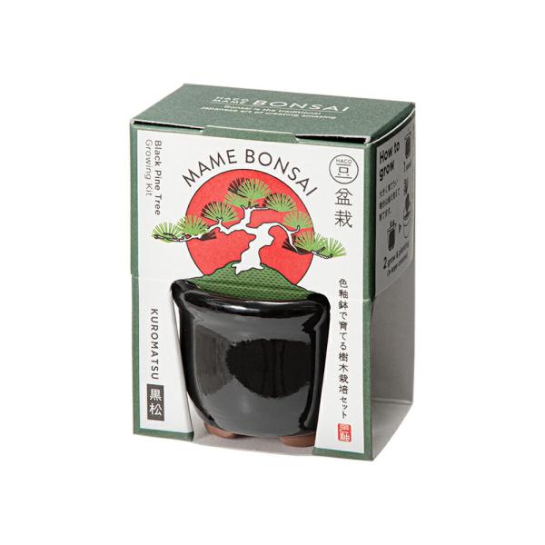 メーカー：聖新陶芸 聖新陶芸　ＨＡＣＯ　ＭＡＭＥ　盆栽栽培セット　黒松　4528757040064　20221101　ｙ22ｍ11　mura　ガーデニング　園芸　ガーデニング用品　園芸用品　キッチンガーデン　インテリア・雑貨　グリーン　栽培...