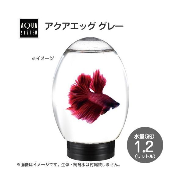 ANAVXe@ANAGbO@O[@aPPT×PWT