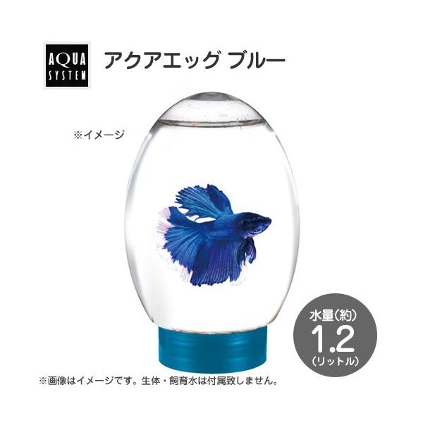 ANAVXe@ANAGbO@u[@aPPT×PWT