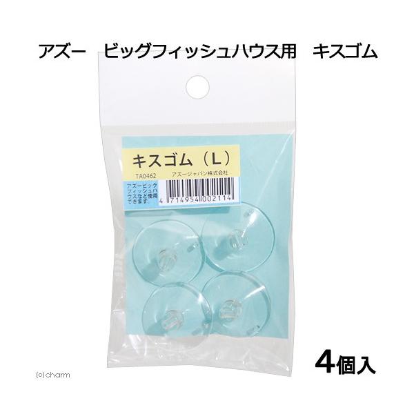 AY[@rbOtBbVnEXp@LXS@S