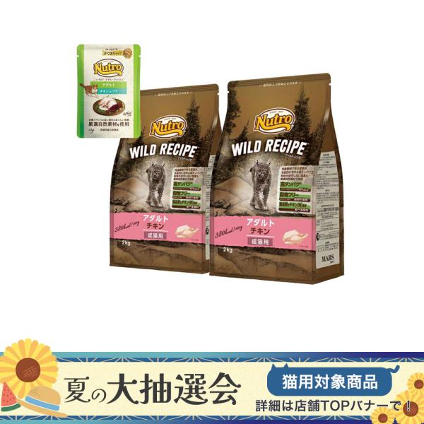 ニュートロ　猫　キャット　ワイルド　レシピ　アダルト　チキン　成猫用　２ｋｇ＋デイリー　ディッシュ　アダルト　パウチ　おまけ付