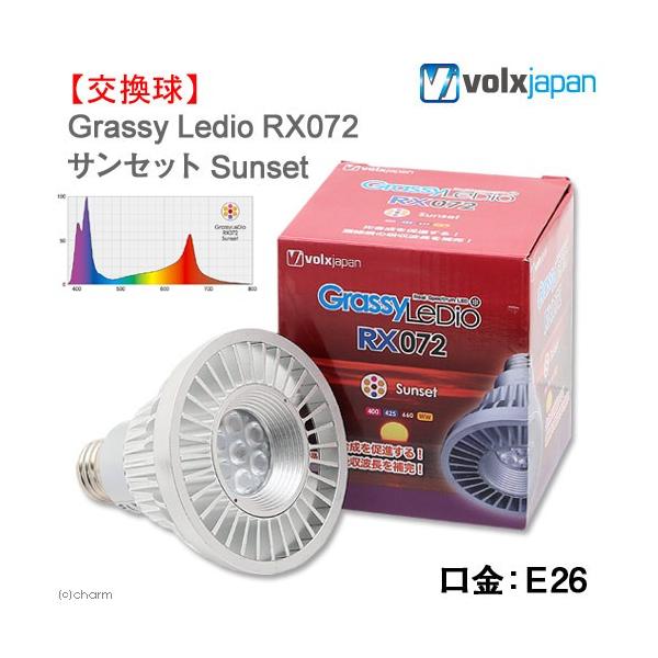 Grassy Ledioの通販 価格比較 価格 Com