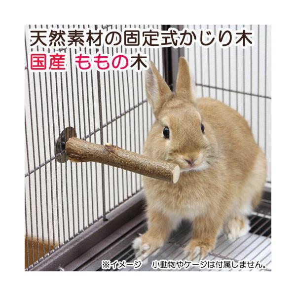 ؁@VRfނ̌Œ莮؁@Y̖؁@@@nX^[@``