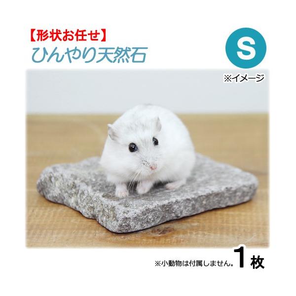 AEgbgi@ЂVR΁@r@`󂨔C@nX^[@X@K@ۗpi@󂠂