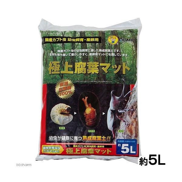 ~^j@ɏ㕅t}bg@Tk@}bg@JugV@c@Y