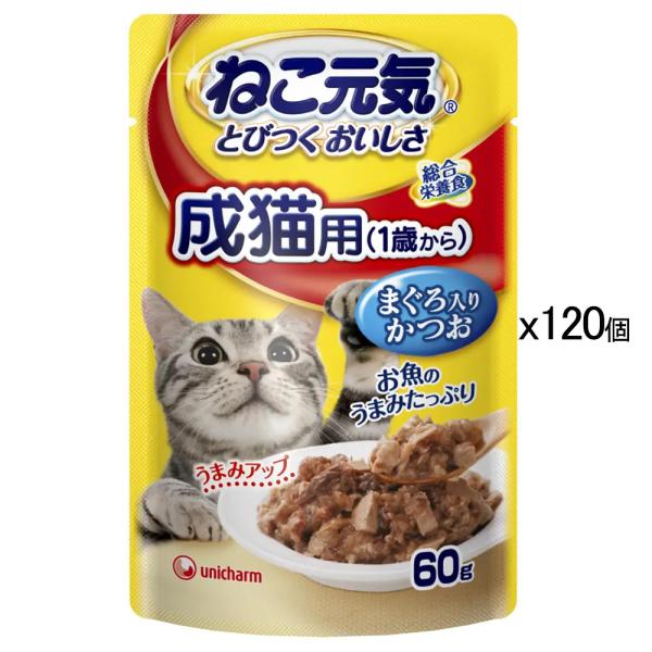 ねこ元気 成猫用 60g×12個入り×8箱 ねこ元気 ねこ元気 総合栄養食 パウチ 成猫用（1歳から） まぐろ入り