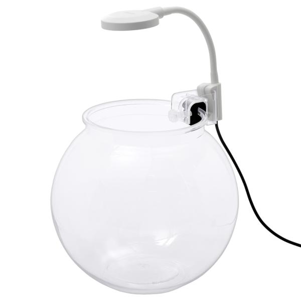 メーカー：コトブキ frditem_hidden　kotobuki　コトブキ工芸　ボウルセット　Ｓ　ホワイト　メダカ　飼育セット　白　メダカ鉢　アクアリウム　ライト　テラリウム　アクアテラリウム　淡水　4972814012844　手軽　簡単...