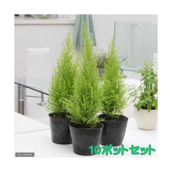 iϗtAjS[hNXg@EB}@RiPO|bgj