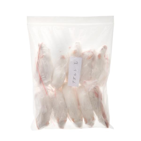 メーカー：富城物産 冷凍★富城　アダルトマウスＬ　１０匹　冷凍マウス　爬虫類　トカゲ　オオトカゲ　ヘビ　蛇　ボールパイソン　コーンスネーク　エサ　餌　肉食　猛禽　フクロウ　ミミズク　コノハズク　モニター　ねずみ　鼠　マウス　22500028...