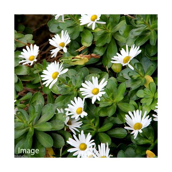 iR쑐jLNiejn}MNilej@RiR|bgZbgjixԁj