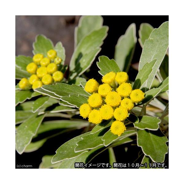 iR쑐jC\MNiej@RiT|bgZbgj