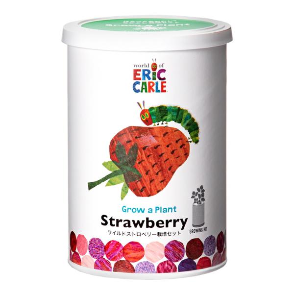 メーカー：聖新陶芸 haraaokit　聖新陶芸　はらぺこあおむし　なかよし栽培セット　ワイルドストロベリー　栽培　ガーデニング　ガーデン　園芸　園芸用品　育成　室内で　室内　部屋　気軽　植物　グリーン　趣味　子どもと一緒に　子ども　子供　...