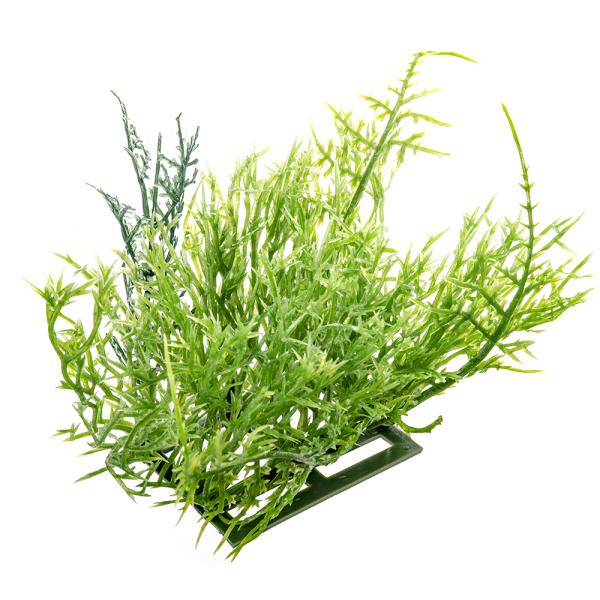 メーカー：マメデザイン レビルクイーン　レビルフェイクプランツ　フロストマット　4571252972811　20221221　y22m12　Y.K.　ガーデニング　園芸　園芸用品　インテリア・雑貨　ギフト　抗菌　消臭　防汚　人工　観葉植物　...