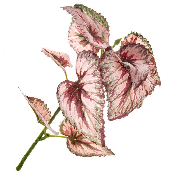 メーカー：マメデザイン レビルクイーン　レビルフェイクプランツ　ベゴニア　4571252972873　20221221　y22m12　Y.K.　ガーデニング　園芸　園芸用品　インテリア　雑貨　ギフト　抗菌　消臭　防汚　人工　観葉植物　人工観...