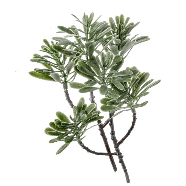 メーカー：マメデザイン レビルクイーン　レビルフェイクプランツ　ボックスウッド　4571252972880　20221221　y22m12　Y.K.　ガーデニング　園芸　園芸用品　インテリア・雑貨　ギフト　抗菌　消臭　防汚　人工　観葉植物　...