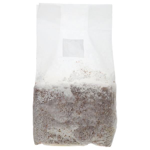 メーカー：月夜野きのこ園 菌糸ブロック　coollogist　夏季クール対応　Ｂａｓｉｃ　クヌギ　３５００ｃｃ　2250002871605　月夜野きのこ園　菌糸　菌糸ビン　オオヒラタケ　昆虫　甲虫　クワガタ　クワガタムシ　クワ　オオクワガタ...