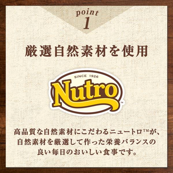 �j���[�g���@�L�@�L���b�g�@�f�C���[�@�f�B�b�V���@�V�j�A�L�p�@�`�L���@�N���[�~�[�ȃy�[�X�g�^�C�v�@�p�E�`�@�R�T���@����l�l�X�U�_���� ���i�摜2