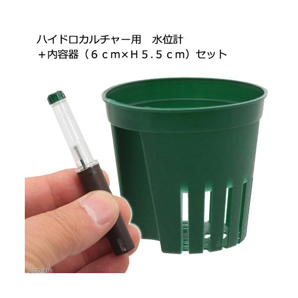 nChJ`[p@ʌv{eiU×gTDTjZbg