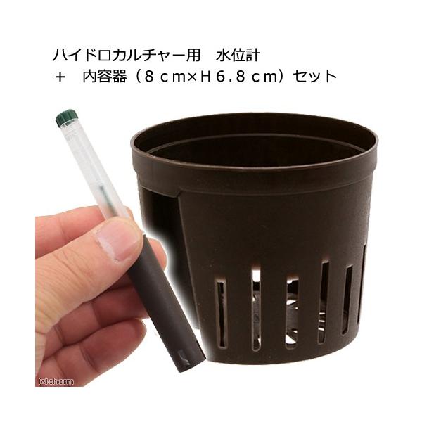 nChJ`[p@ʌv{eiW×gUDWjZbg