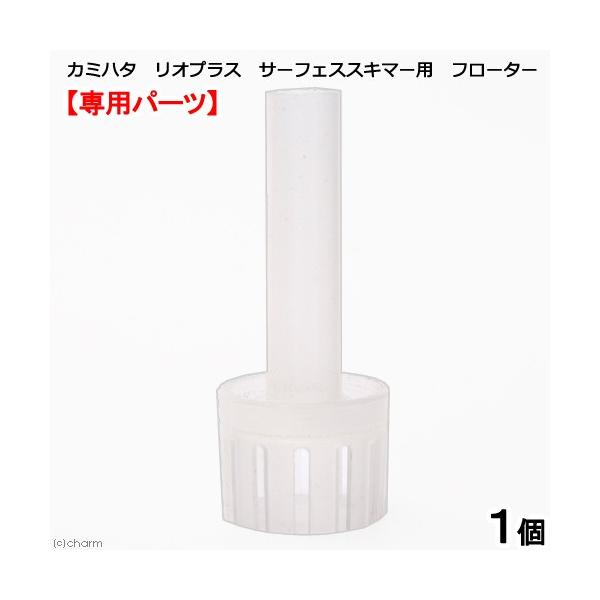 J~n^@IvX@T[tFXXL}[p@t[^[