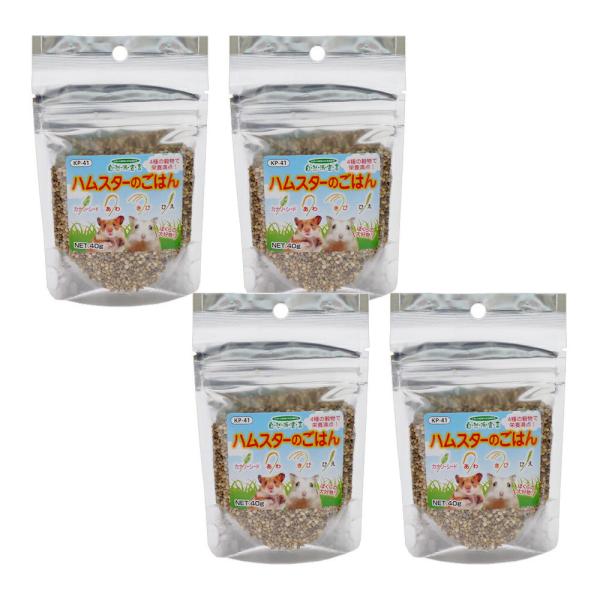 ybgt[h@Rh錾@nX^[̂͂@SO×S