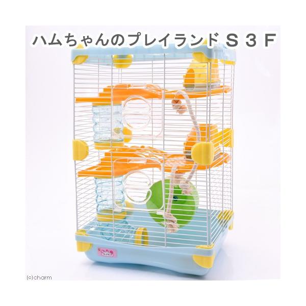 }J@ñvCh@rReiQVDT×QQ×SQDTjnX^[@P[W