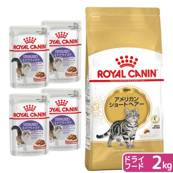アメリカンショートヘアー ロイヤルカナン 2kg 2袋 猫 ロイヤルカナン（ROYAL CANIN） 猫 アメリカンショートヘアー 成猫用