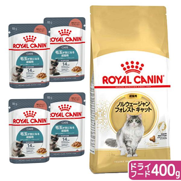 ロイヤルカナン（ROYAL CANIN） 猫 ノルウェージャンフォレスト