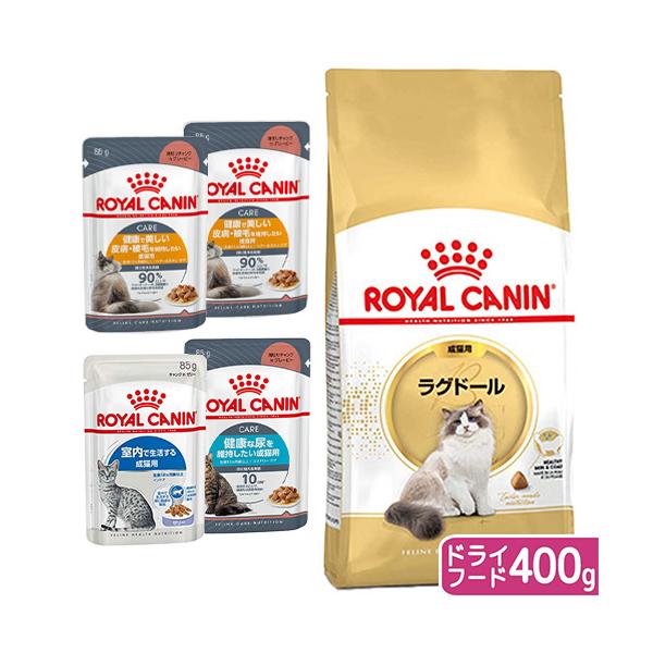 ロイヤルカナン（ROYAL CANIN） 猫 ラグドール 成猫用 生後12ヵ月齢
