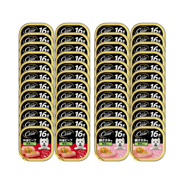 ドッグフード シーザー １６歳からのビーフ＆絹ささみ ２種各２４個セット