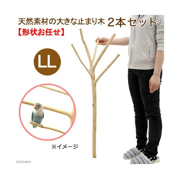 止まり木 chanet_293345