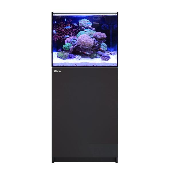 大型）レッドシー REEFER 170 G2＋ ブラック 本州四国送料