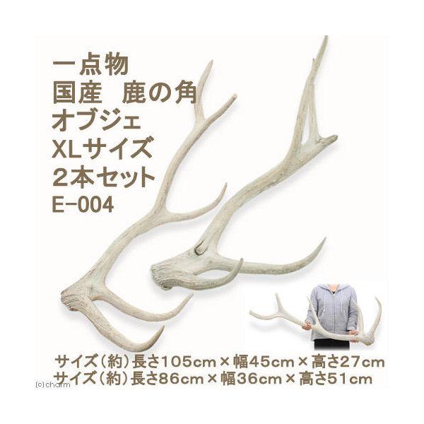 Leaf Corp （大型）一点物 国産 鹿の角 オブジェ XLサイズ 2