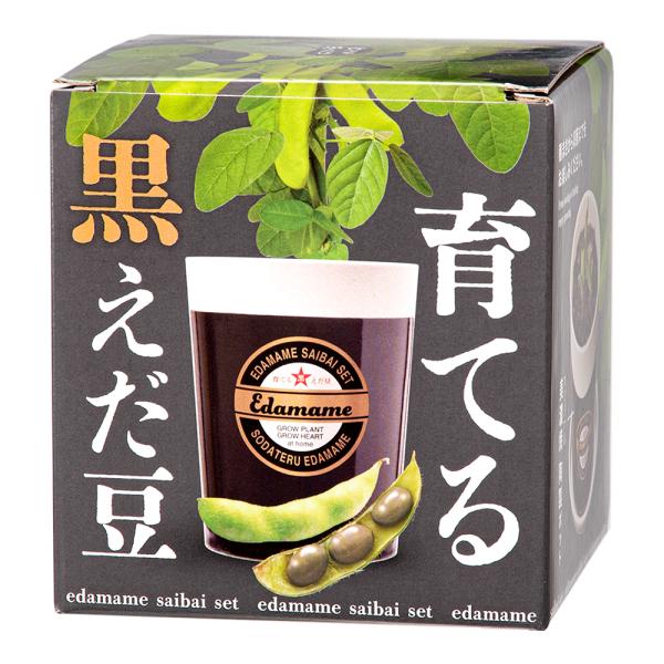 メーカー：聖新陶芸 4528757040774　聖新陶芸　育てる黒えだ豆　栽培セット　ガーデニング　ガーデニング用品　園芸用品　園芸　栄養　肥料　栽培　栽培キット　キット　ユニーク　黒枝豆　えだまめ　枝豆　種から　育てる　説明書付き　セット...