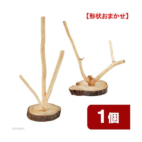 Y@VRfނ̏̂Ƃ܂؁@̖ؑt@}Q`R{@P@`󂨔C