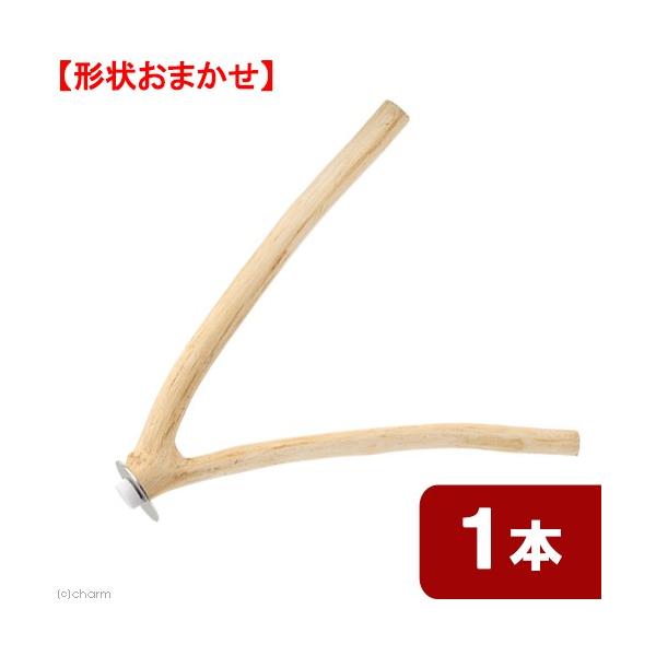 Y@VRfނ̏̂Ƃ܂؁@Œ莮@}Q{@P@`󂨔C