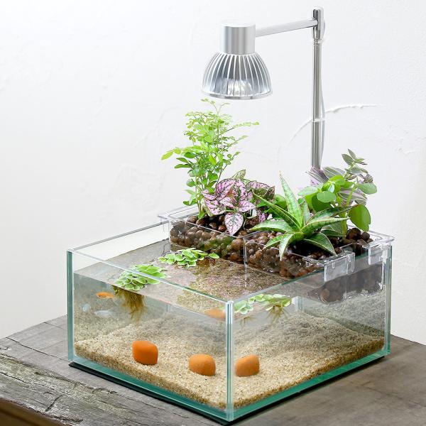 めだか 水草 水作 アクアテリア メダカ飼育レイアウトセット ｎ１９０ 本州 四国限定 チャーム Charm Paypayモール店 通販 Paypayモール