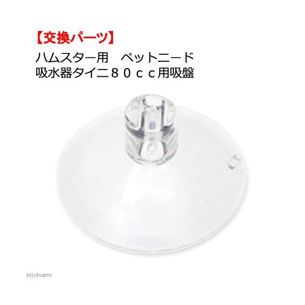 nX^[p@ybgj[h@^CjWOpz