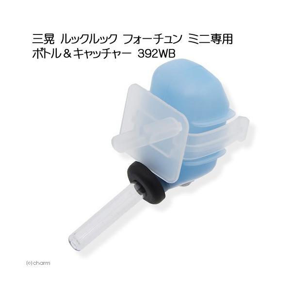 OW@bNbNtH[`~jʁ@{gLb`[@RXQva@nX^[@P[W