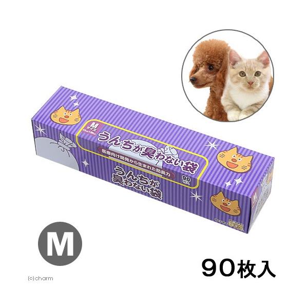 񂿂LȂ܁@anr@ybgp^@lTCY@XO