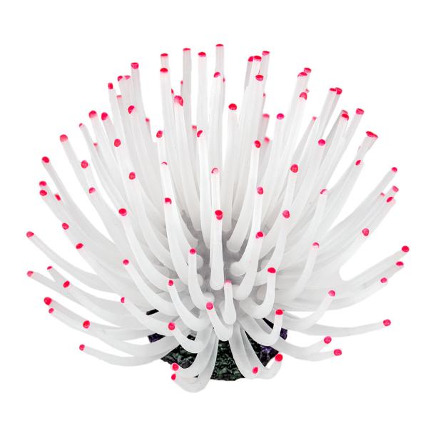 メーカー：ゼンスイ ゼンスイ　ＺＥＳＴ　レプリカサンゴ　Ｍ−１２　ホワイトピンク　アクアリウム用品　アクアリウム　海水用品　海水　レイアウト　アクセサリー　かざりサンゴ　かざりサンゴ　イソギンチャク　海水魚　無脊椎動物　レイアウト用品　レイ...