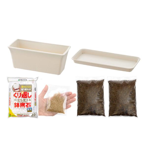 チモシー栽培セット　ガーデニング　ハーブ　栽培セット　ペットリーフ　猫草　植え替え　育成　栽培　プランター　用土　育成セット　チモシー　セット　種まき　ＹＭＳ　20160107　sp_usayama　_todayCHK　育て方　育成方法　栽...