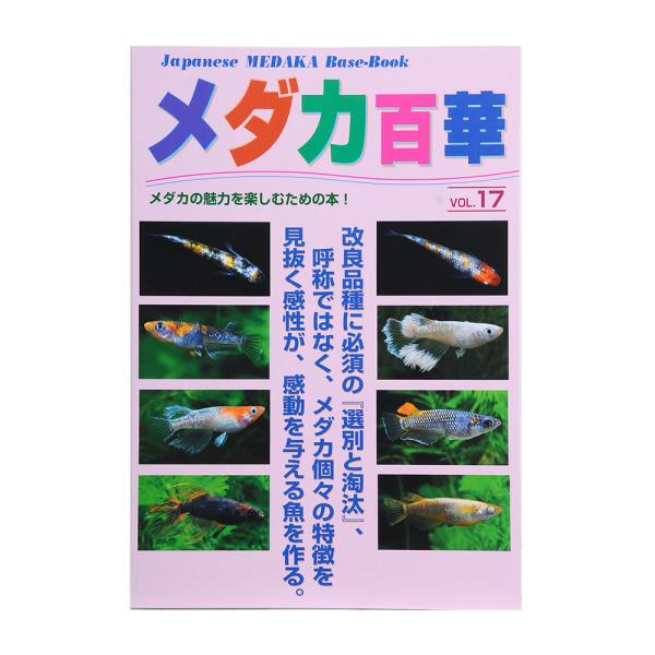 アウトレット品　メダカ百華　Ｖｏｌ．１７　訳あり
