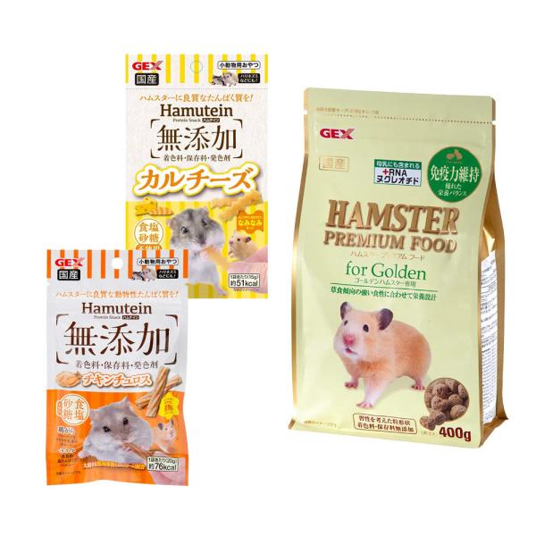 ゴールデンハムスター ゴールデンハムスター | ペットフォレスト