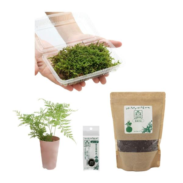 _gardening　ＪＵＮ　苔玉の土　７００ｍｌ　4.56015E+12　苔玉　こけ玉　活着　土台　専門用土　_aqua　苔玉専用糸　有限会社ＪＵＮ　ジェイグリーン　固定　_kame　_hachu　観葉植物　all_plants　盆栽　這...