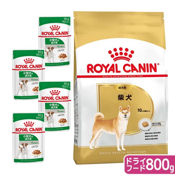 他サイト： ロイヤルカナン　柴犬用　成犬セット（生後１０カ月齢以上）　ドライ　８００ｇ　＋　ミニ　アダルト　８５ｇ×４袋　ジップ付　お一人様５点限りの商品画像