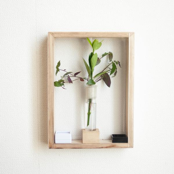 クサヒバリが飼育できる！　小型鳴き虫用アートフレームＤＩＹキット　ナチュラル　産卵植物付き　4582645941314　昆虫　鳴き虫　飼育セット　飼育キット　ＤＩＹ　作成キット　カンタン　クサヒバリ　ヒバリモドキ　ヤマトヒバリ　アートフレー...