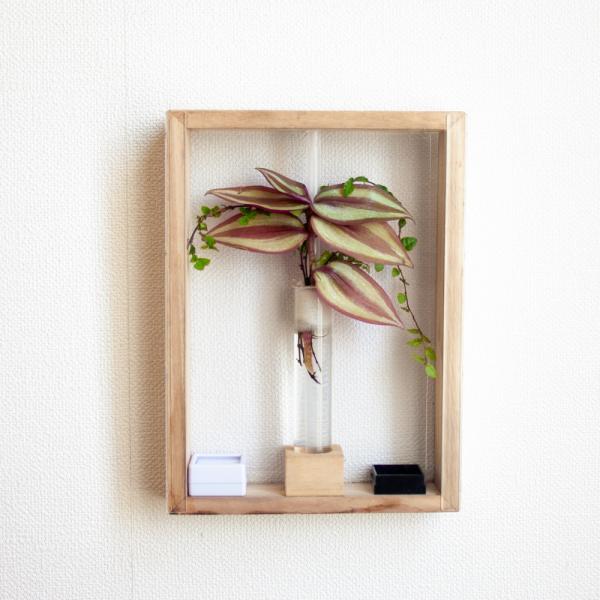 ヤマトヒバリが飼育できる！　小型鳴き虫用アートフレームＤＩＹキット　ナチュラル　産卵植物付き　4582645941314　昆虫　鳴き虫　飼育セット　飼育キット　ＤＩＹ　作成キット　カンタン　クサヒバリ　ヒバリモドキ　ヤマトヒバリ　アートフレ...